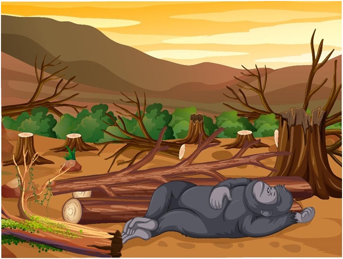 Deforestation: Trees have life and we all need them to survive.